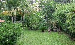 jardin tropical
