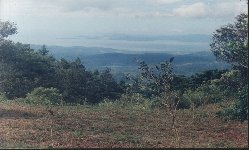 Buena Vista de San Ram�n
