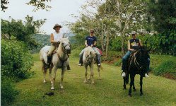 horseback riding