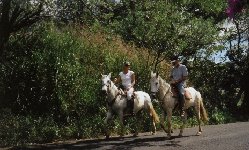 horseback riding